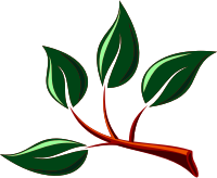 Branch 5