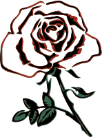 Rose 34
