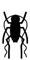Simple Cockroach 