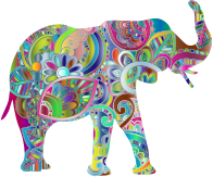 Florida Elephant Prismatic 3