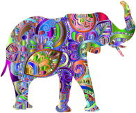 Florida Elephant Prismatic 5