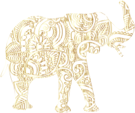 Florida Elephant Prismatic 15 No BG