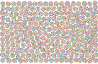 Floral Background Derivative No BG