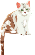 Adorable Stylized Kitten