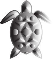 Sea Turtle Duochrome