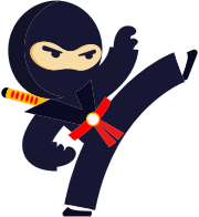 Fighting Ninja