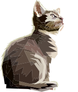 Geometric Kitten Looking Up