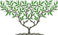 Fruit Tree By Karen Arnold