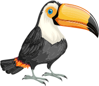 Cute Toucan