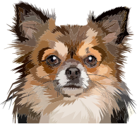 Geometric Dog