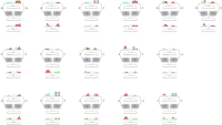 ZEICHNUNGEN FÜR QUIZZE Waagen-Modell - Erkennen des Ergebnisses einer Umformung