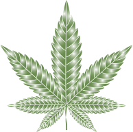 Marijuana Leaf Type II Prismatic 6