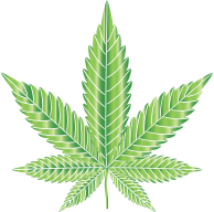 Marijuana Leaf Type II Prismatic 8