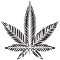Marijuana Leaf Type II Duochrome