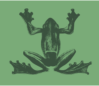 Odd Frog
