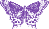 Purple Butterfly