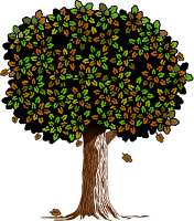Tree 80