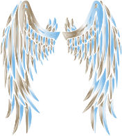 Sky Chrome Angel Wings