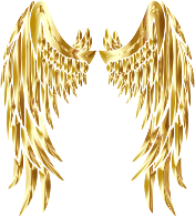 Gold Angel Wings No BG