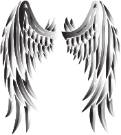 Duochrome Angel Wings