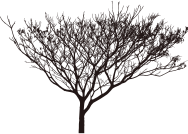Scrawny Tree Silhouette