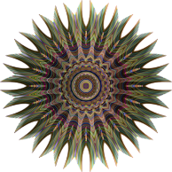 Peacockian Mandala