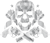 Flowers And Firearms Skull Line Art Polished Chrome No BG