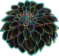 Polyprismatic Dahlia