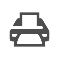 Print icon