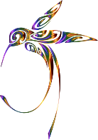 Ornamental Hummingbird Line Art Chromatic