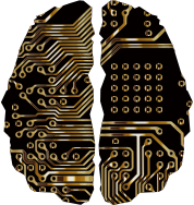 Cybernetic Brain Line Art Gold