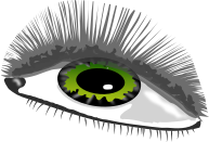 eye