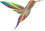 Hummingbird Silhouette 5 Polyprismatic
