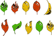 Less Than Perfect Autumn Leaves