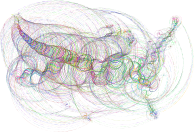 Freedom Lines No BG