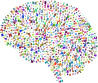 Alphabet Brain Polychromatic No BG