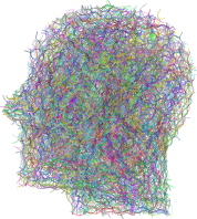 Bezier Man Type II