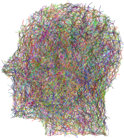 Bezier Man Type II Chromatic
