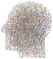 Bezier Man Type II Chromatic Variation 2