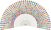 Abstract Peacock Feathers Prismatic
