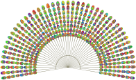 Abstract Peacock Feathers Polyprismatic