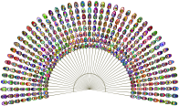 Abstract Peacock Feathers Chromatic No BG