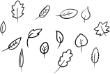 Leaves set