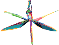 Geometric Dragonfly