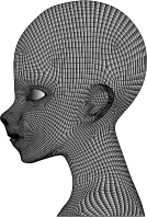 Boy Wireframe Head Duochrome