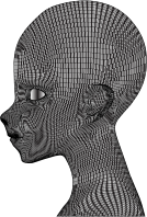 Boy Wireframe Head Duochrome 2