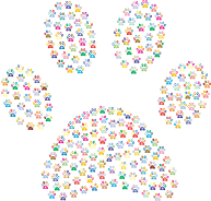 Paw Print Fractal Prismatic 2