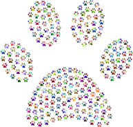 Paw Print Fractal Chromatic