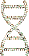 DNA Helix Dog Breeds