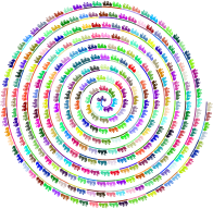 Roller Coaster Spiral Prismatic